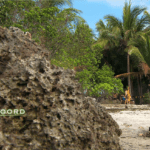 Expeditie Robinson 2022 Kamp Noord