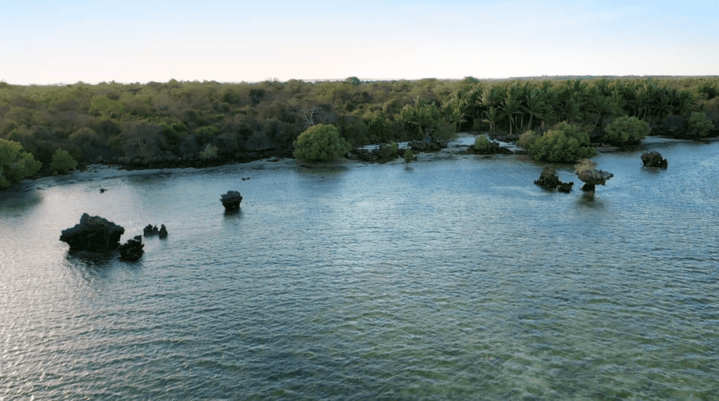 Expeditie Robinson 2022 Kamp Noord