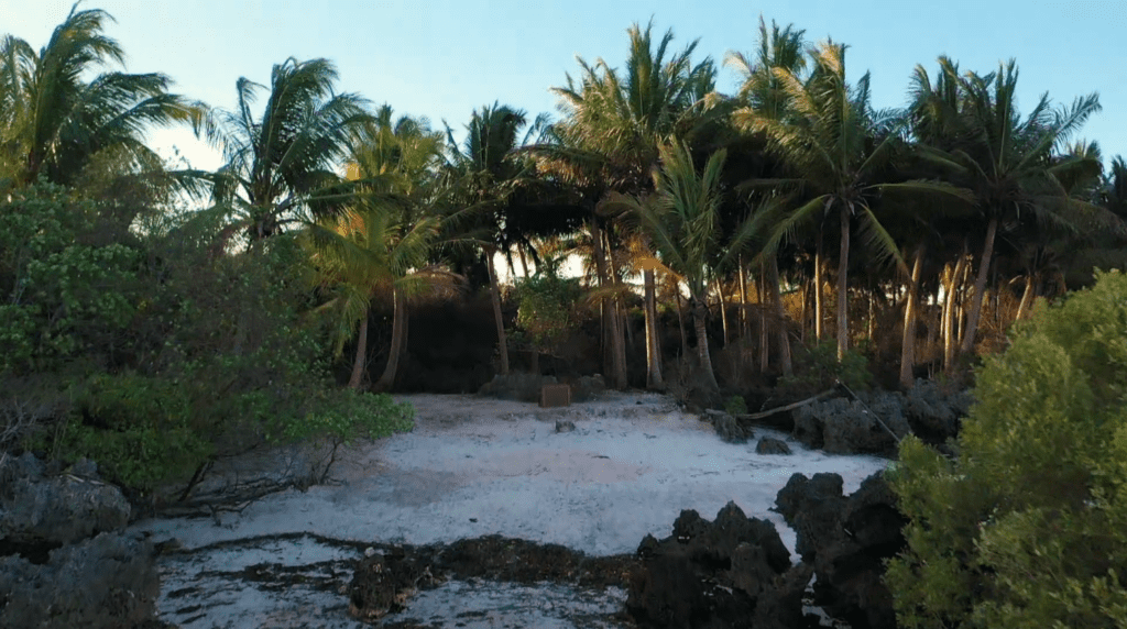 Expeditie Robinson 2022 Kamp Noord