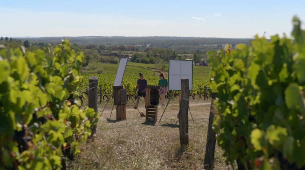 Domaine Bois Bourbon