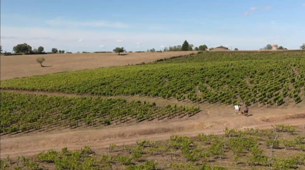 Domaine Bois Bourbon